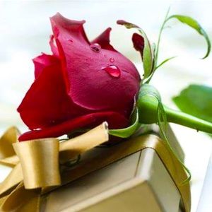 Happy Poshmark shopping !